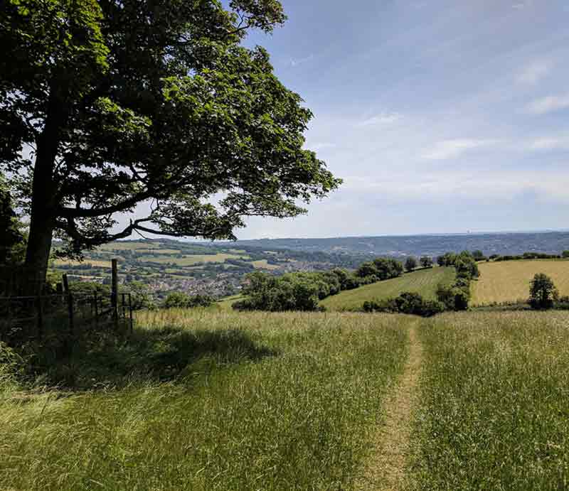 Bath & N.E. Somerset countryside Rolling green fields and woodland.